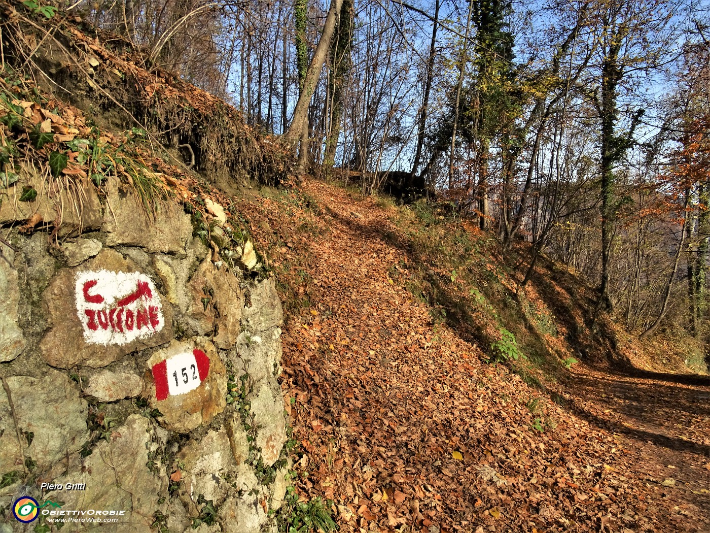 23 Dopo breve salita su stradetta imbocco il sentiero che sale nel bosco.JPG